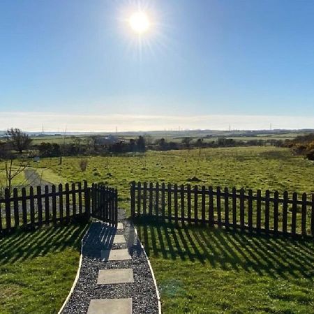 Willow Glamping Hut With Hot Tub, Ensuite, Bbq, Firepit, Views, Fenced Garden, Dog Friendly, Alpacas On Site On Anglesey, North Wales Amlwch Exterior foto
